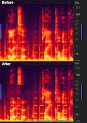 Spectral graph of the before and after audio, 
				showing a gap in the 3-6kHz part of the spectrum during the word Alexa.